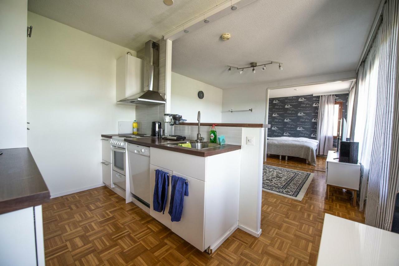 Mikkeli Citycenter Apartment With Sauna 外观 照片